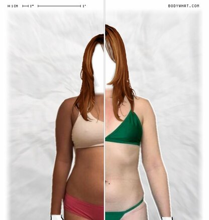 Torso Comparison