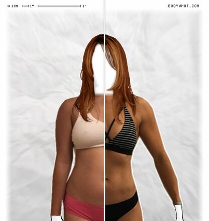 Torso Comparison