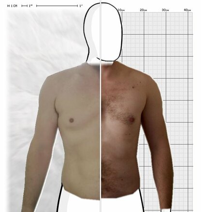 Torso Comparison