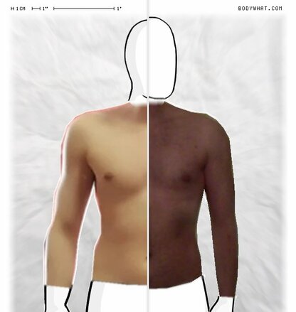 Torso Comparison