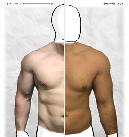 Torso Comparison