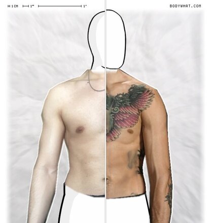 Torso Comparison