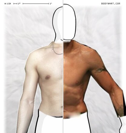 Torso Comparison