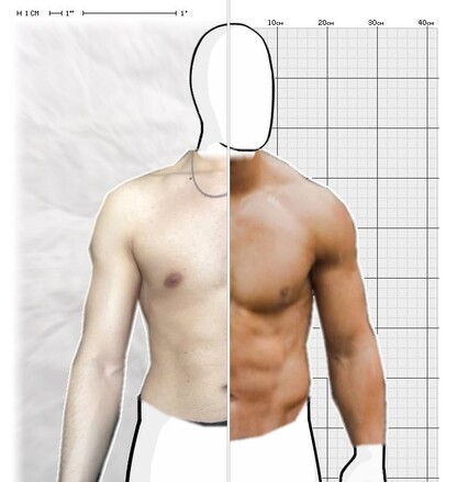 Torso Comparison