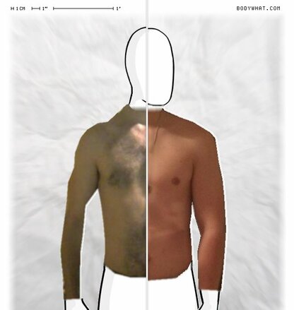 Torso Comparison