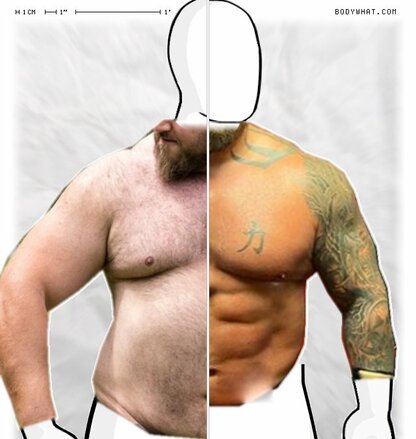 Torso Comparison