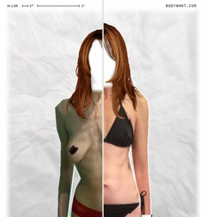 Torso Comparison