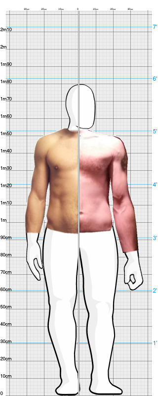 Full Size Comparison