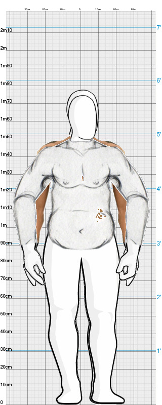 Full Size Comparison