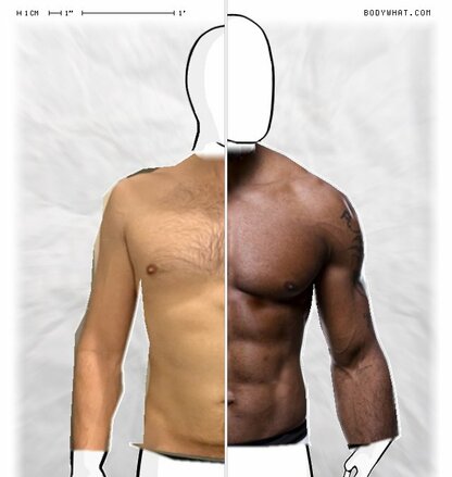 Torso Comparison