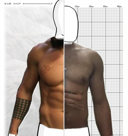 Torso Comparison