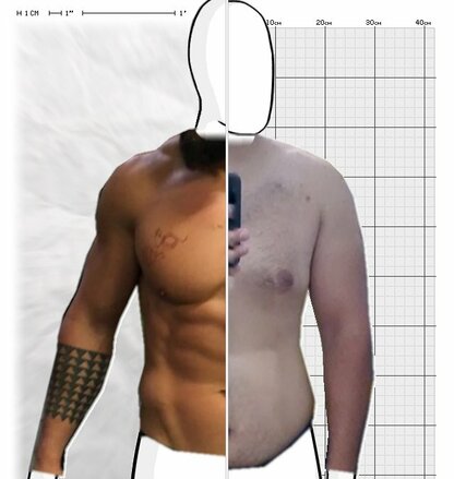 Torso Comparison