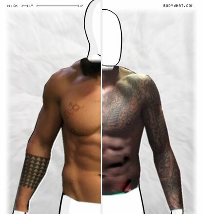 Torso Comparison