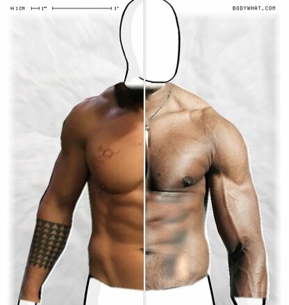 Torso Comparison