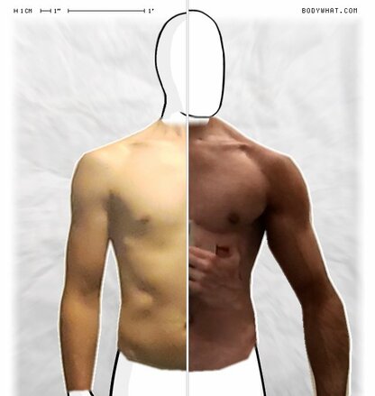 Torso Comparison