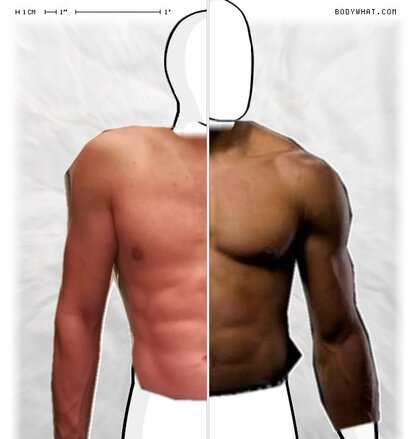 Torso Comparison