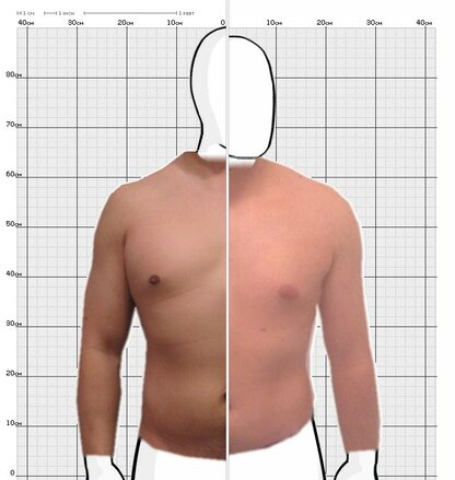 Torso Comparison