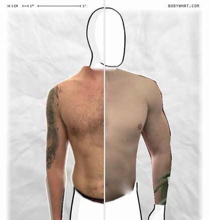 Torso Comparison