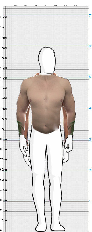 Full Size Comparison