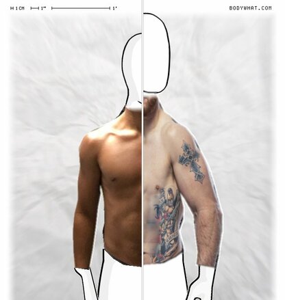 Torso Comparison