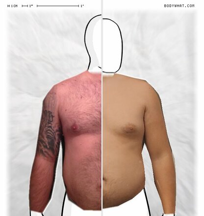 Torso Comparison