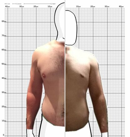 Torso Comparison