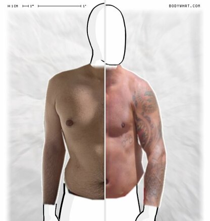 Torso Comparison