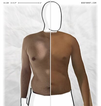 Torso Comparison