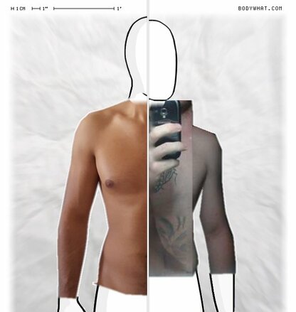 Torso Comparison