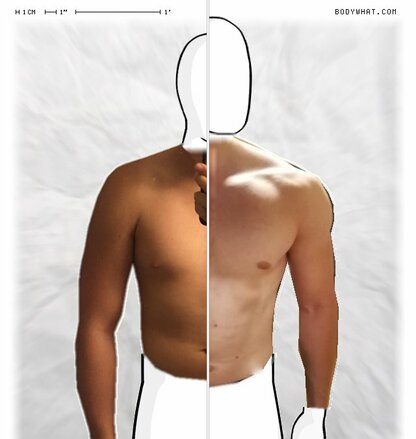 Torso Comparison