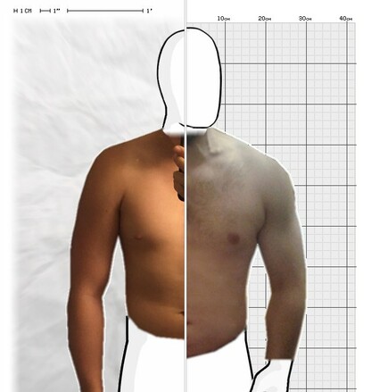 Torso Comparison