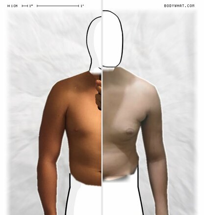 Torso Comparison