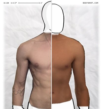 Torso Comparison