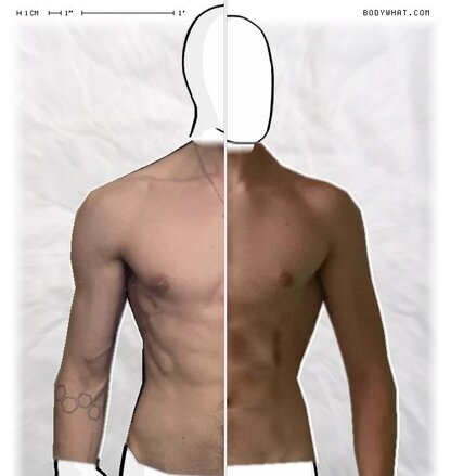 Torso Comparison
