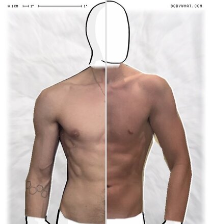 Torso Comparison