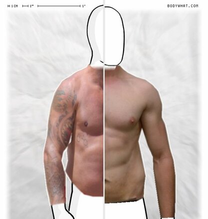 Torso Comparison