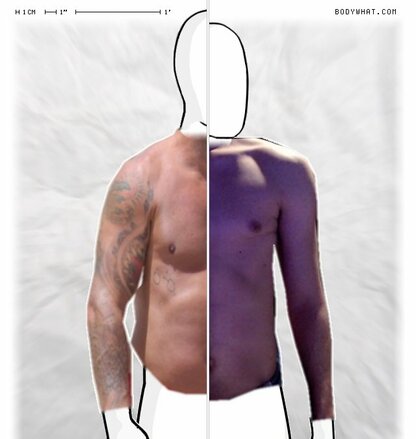 Torso Comparison