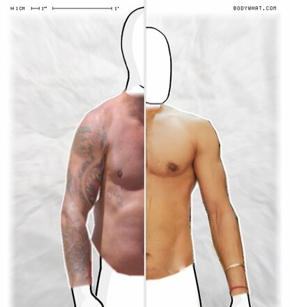 Torso Comparison