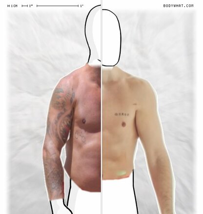 Torso Comparison