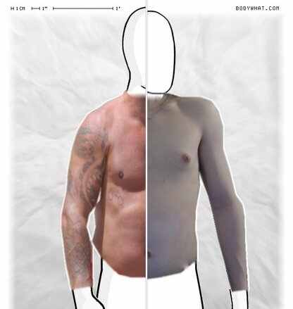 Torso Comparison