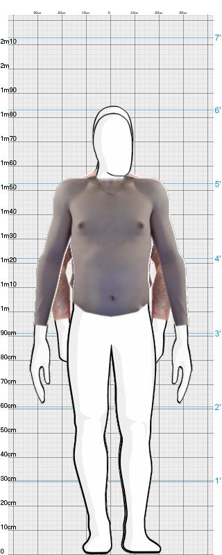 Full Size Comparison