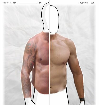Torso Comparison