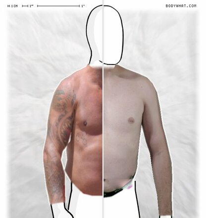 Torso Comparison