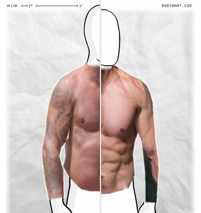 Torso Comparison