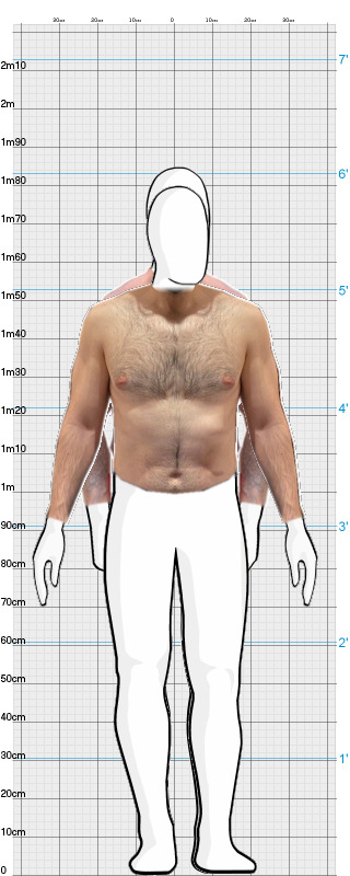 Full Size Comparison