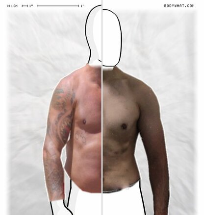 Torso Comparison