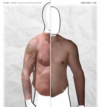 Torso Comparison