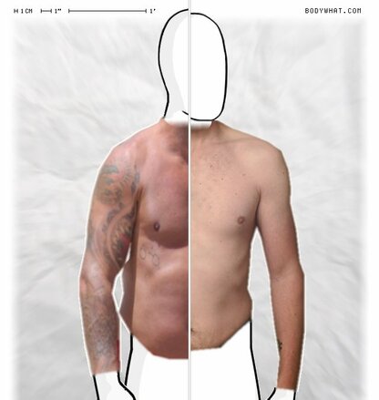 Torso Comparison