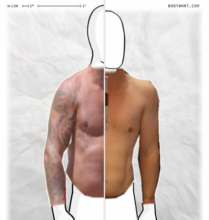Torso Comparison