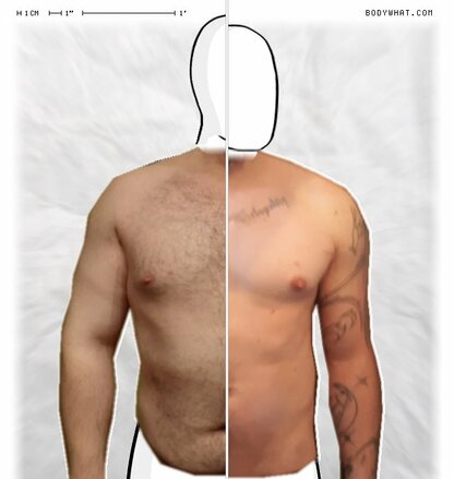 Torso Comparison